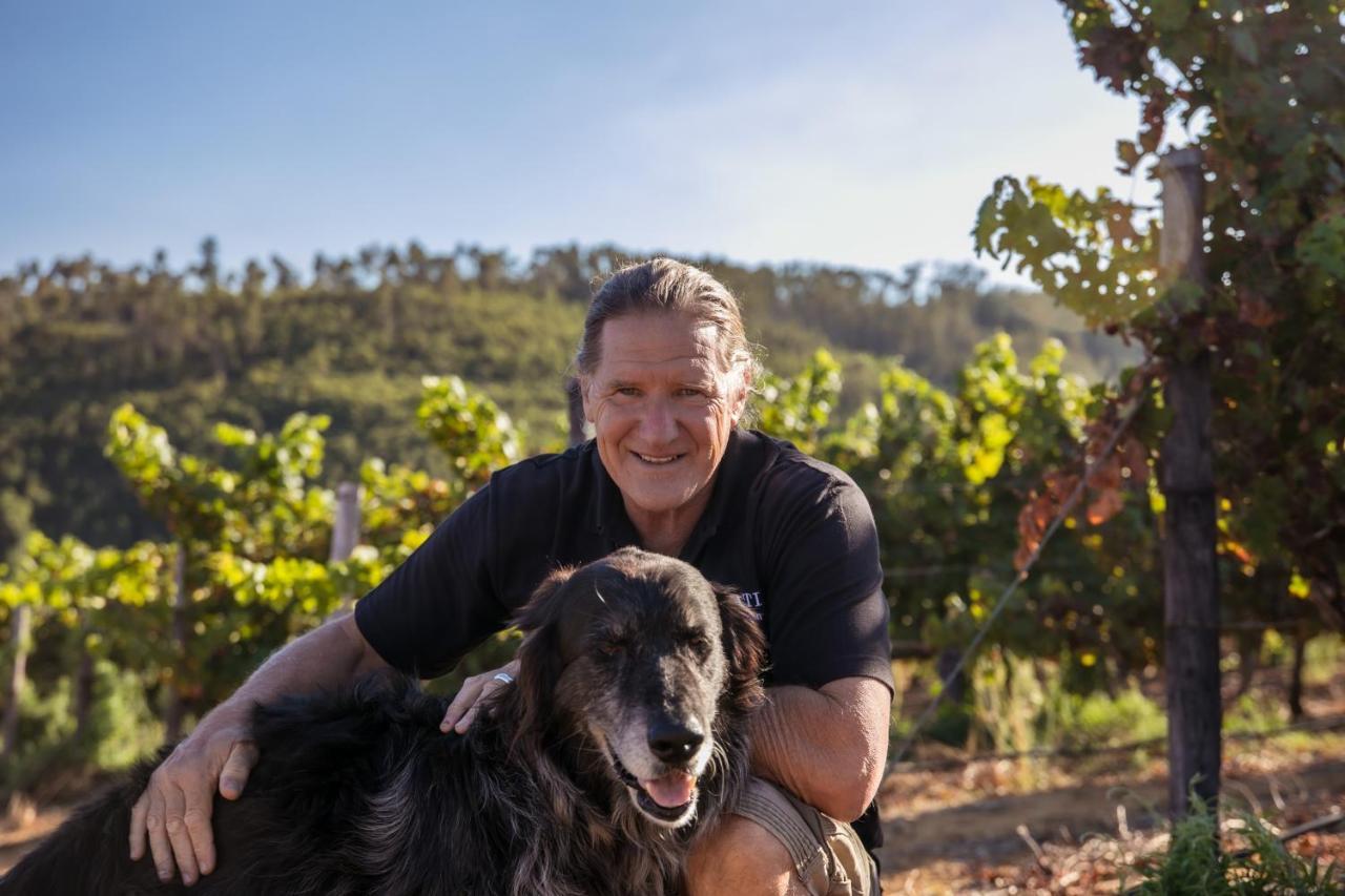 Muratie Wine Estate ستيلينبوش المظهر الخارجي الصورة