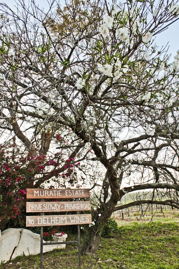 Muratie Wine Estate ستيلينبوش المظهر الخارجي الصورة